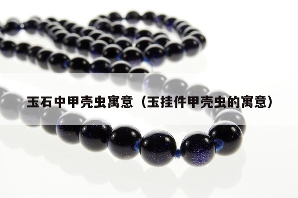 玉石中甲壳虫寓意，玉挂件甲壳虫的寓意