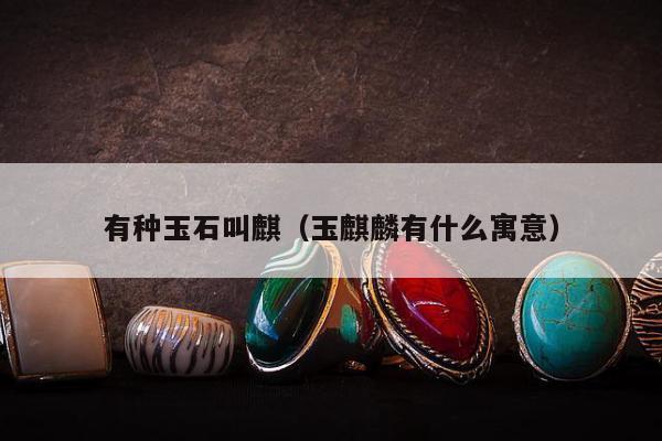 有种玉石叫麒，玉麒麟有什么寓意