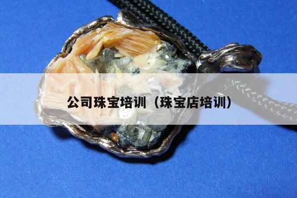 公司珠宝培训，珠宝店培训