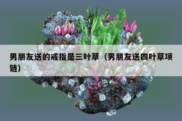 男朋友送的戒指是三叶草，男朋友送四叶草项链