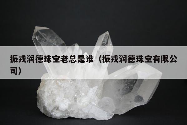 振戎润德珠宝老总是谁，振戎润德珠宝有限公司
