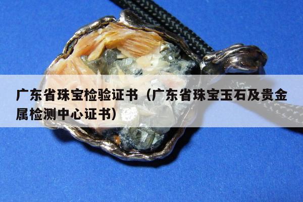 广东省珠宝检验证书，广东省珠宝玉石及贵金属检测中心证书