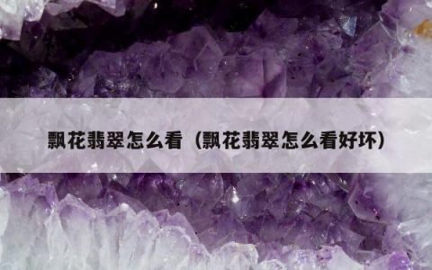 飘花翡翠怎么看，飘花翡翠怎么看好坏