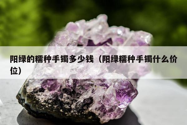 阳绿的糯种手镯多少钱，阳绿糯种手镯什么价位