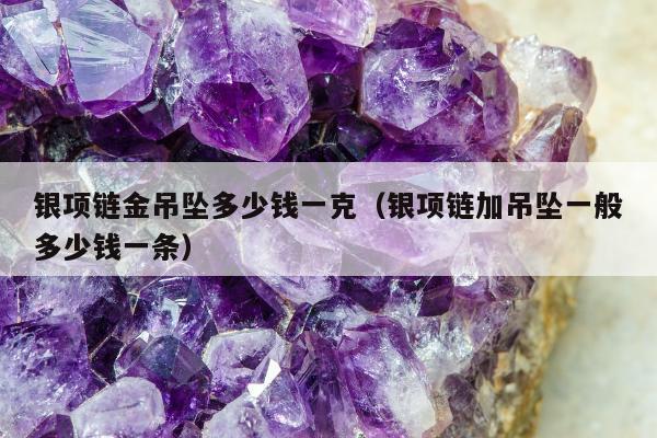 银项链金吊坠多少钱一克，银项链加吊坠一般多少钱一条