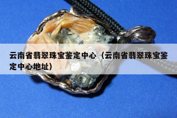 云南省翡翠珠宝鉴定中心，云南省翡翠珠宝鉴定中心地址