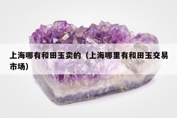 上海哪有和田玉卖的，上海哪里有和田玉交易市场