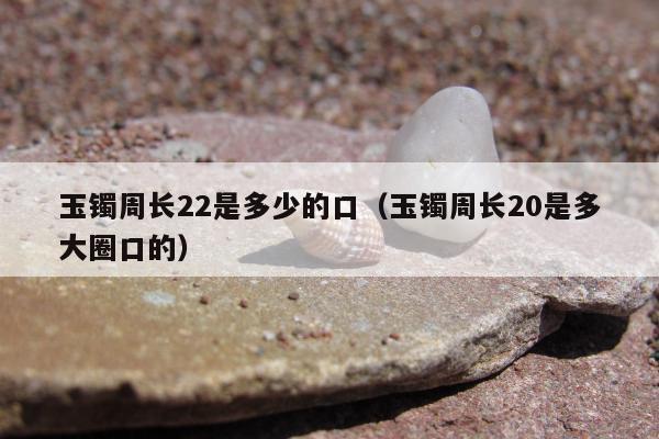 玉镯周长22是多少的口，玉镯周长20是多大圈口的