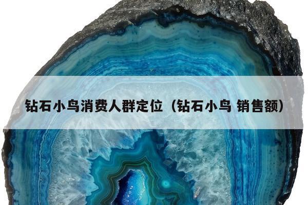 钻石小鸟消费人群定位 钻石小鸟 销售额