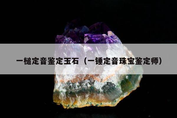 一槌定音鉴定玉石 一锤定音珠宝鉴定师