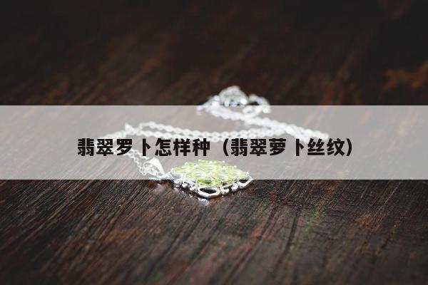 翡翠罗卜怎样种 翡翠萝卜丝纹