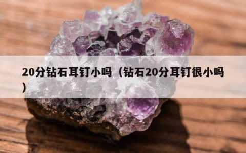 20分钻石耳钉小吗 钻石20分耳钉很小吗