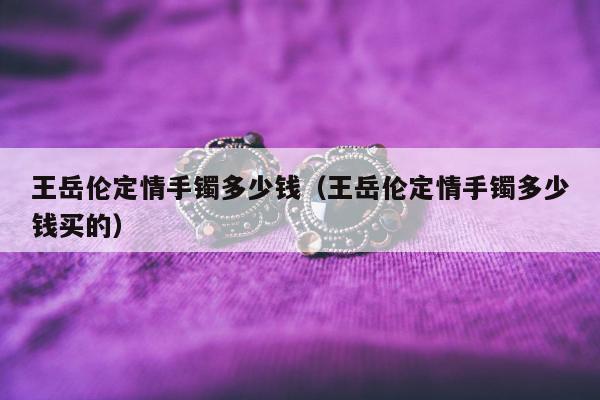 王岳伦定情手镯多少钱 王岳伦定情手镯多少钱买的
