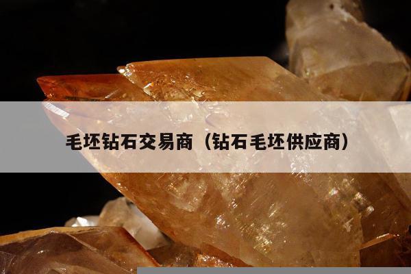 毛坯钻石交易商 钻石毛坯供应商