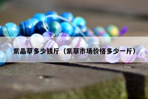 紫晶草多少钱斤 紫草市场价格多少一斤