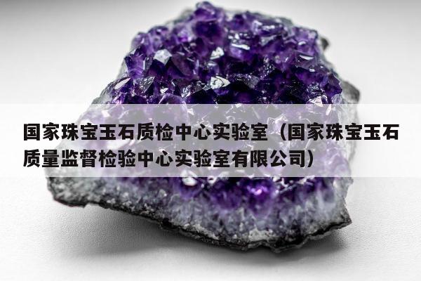 国家珠宝玉石质检中心实验室 国家珠宝玉石质量监督检验中心实验室有限公司