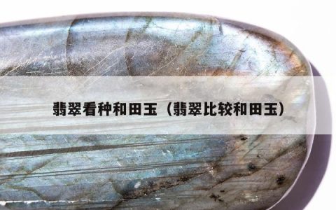 翡翠看种和田玉 翡翠比较和田玉