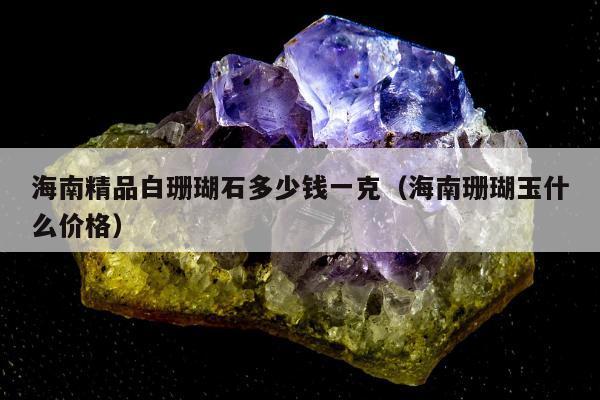 海南精品白珊瑚石多少钱一克 海南珊瑚玉什么价格