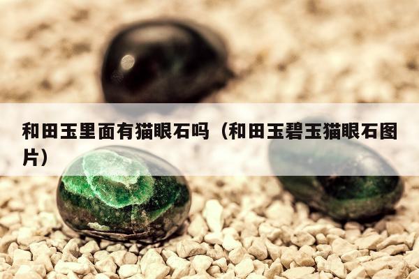 和田玉里面有猫眼石吗 和田玉碧玉猫眼石图片