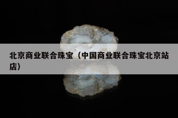 北京商业联合珠宝 中国商业联合珠宝北京站店
