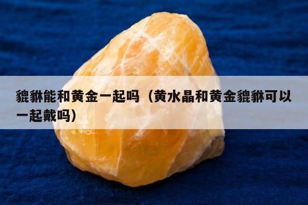 貔貅能和黄金一起吗 黄水晶和黄金貔貅可以一起戴吗