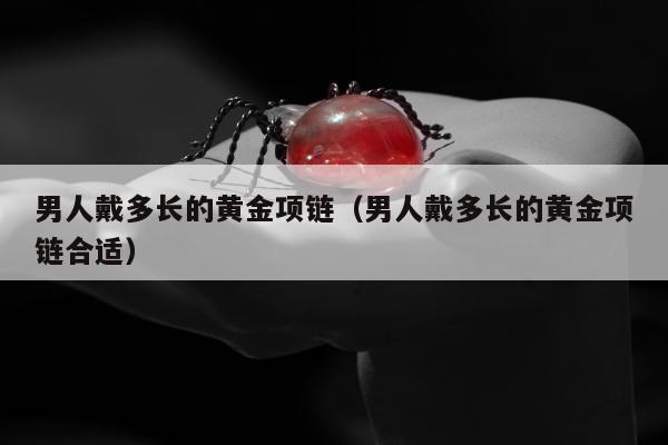 男人戴多长的黄金项链 男人戴多长的黄金项链合适