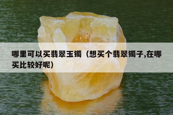 哪里可以买翡翠玉镯 想买个翡翠镯子,在哪买比较好呢