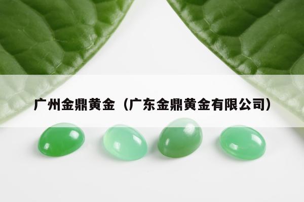广州金鼎黄金 广东金鼎黄金有限公司