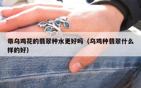 带乌鸡花的翡翠种水更好吗 乌鸡种翡翠什么样的好