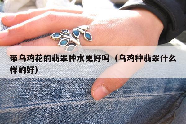 带乌鸡花的翡翠种水更好吗 乌鸡种翡翠什么样的好