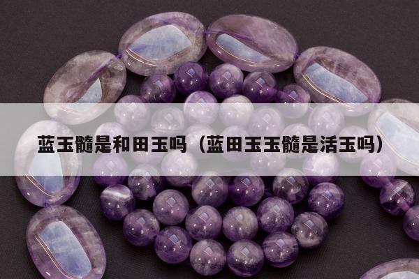 蓝玉髓是和田玉吗 蓝田玉玉髓是活玉吗