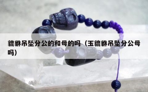 貔貅吊坠分公的和母的吗 玉貔貅吊坠分公母吗