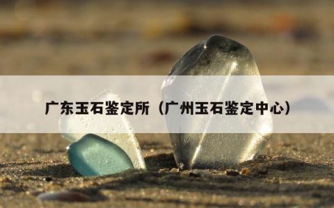 广东玉石鉴定所 广州玉石鉴定中心