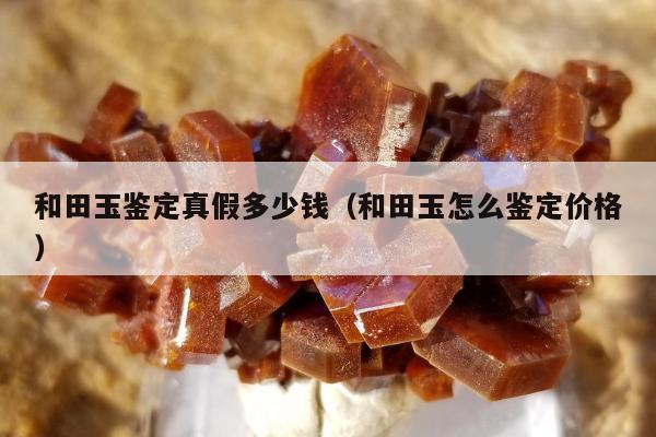 和田玉鉴定真假多少钱 和田玉怎么鉴定价格
