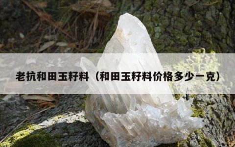 老抗和田玉籽料 和田玉籽料价格多少一克