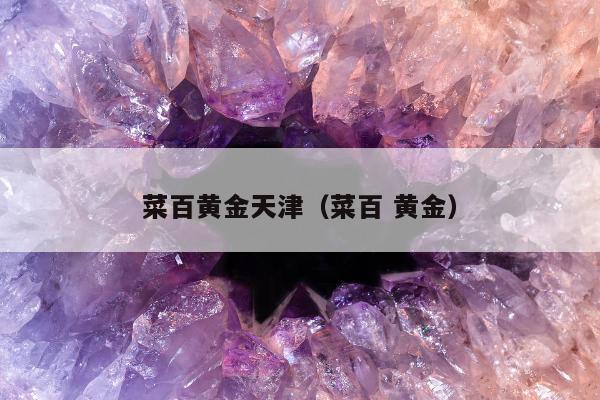 菜百黄金天津 菜百 黄金