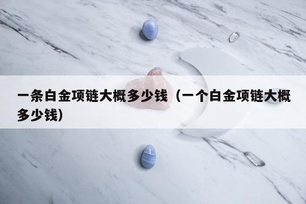 一条白金项链大概多少钱 一个白金项链大概多少钱