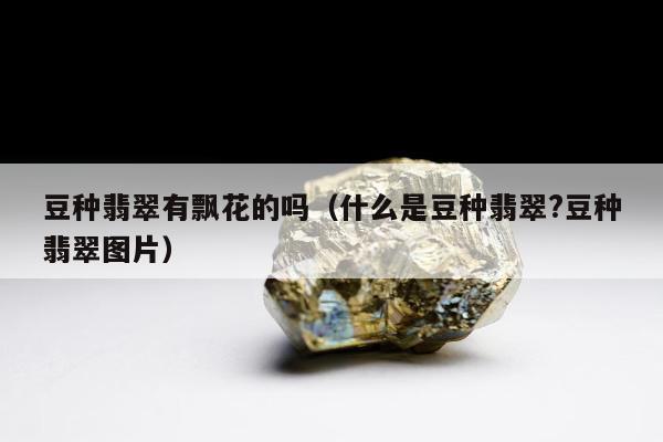 豆种翡翠有飘花的吗 什么是豆种翡翠?豆种翡翠图片