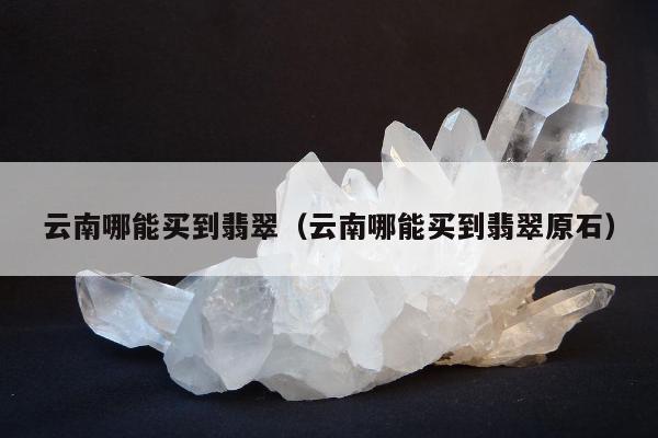 云南哪能买到翡翠 云南哪能买到翡翠原石