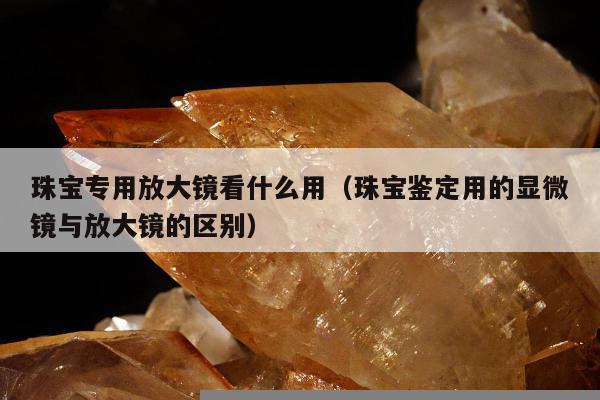 珠宝专用放大镜看什么用 珠宝鉴定用的显微镜与放大镜的区别