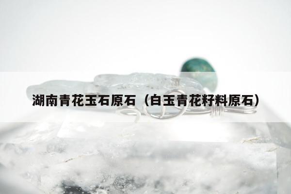 湖南青花玉石原石 白玉青花籽料原石