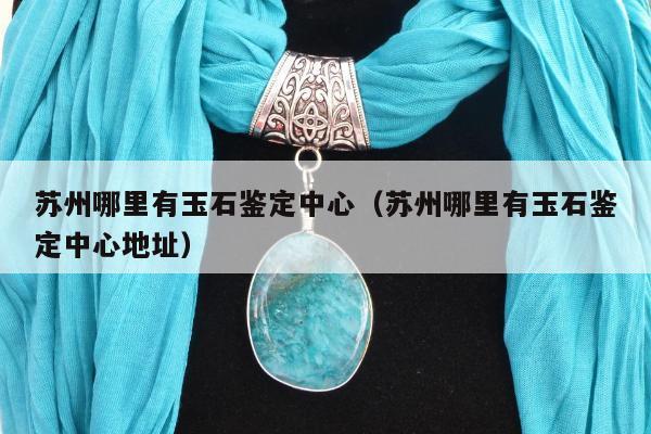 苏州哪里有玉石鉴定中心 苏州哪里有玉石鉴定中心地址