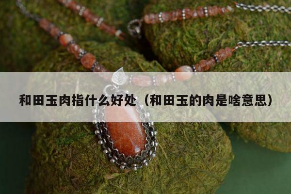 和田玉肉指什么好处 和田玉的肉是啥意思