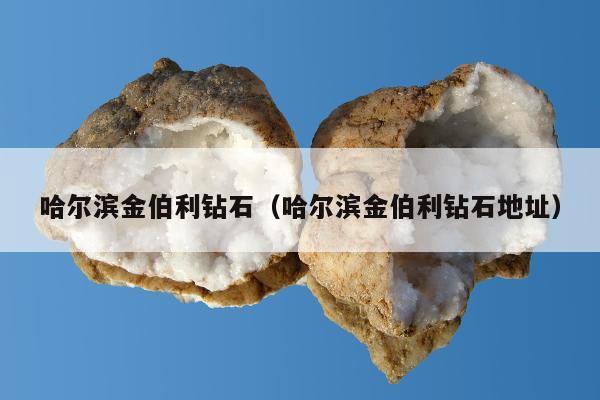 哈尔滨金伯利钻石 哈尔滨金伯利钻石地址