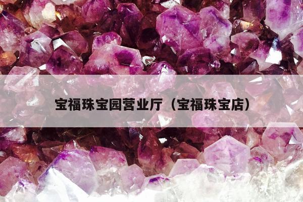 宝福珠宝园营业厅 宝福珠宝店