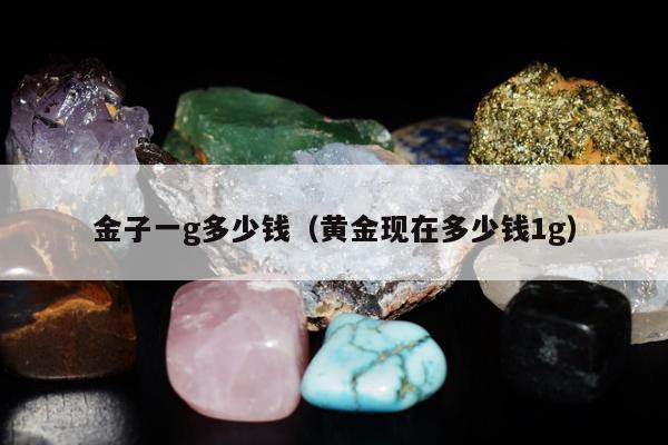 金子一g多少钱 黄金现在多少钱1g