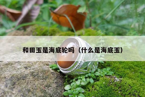 和田玉是海底轮吗 什么是海底玉