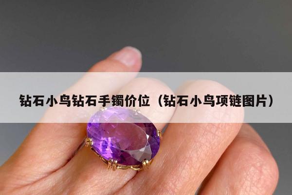 钻石小鸟钻石手镯价位 钻石小鸟项链图片
