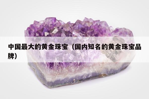 中国最大的黄金珠宝 国内知名的黄金珠宝品牌