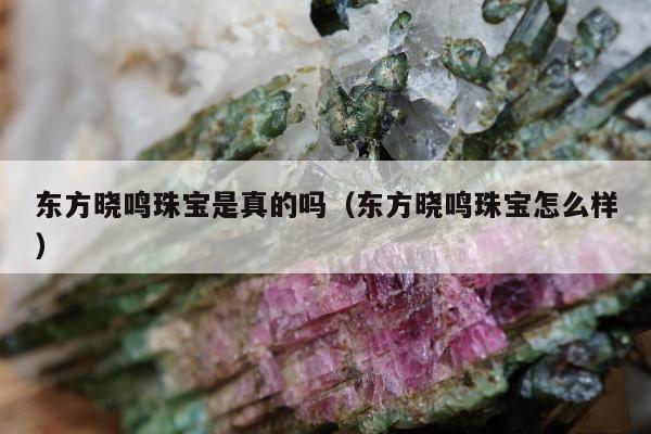 东方晓鸣珠宝是真的吗 东方晓鸣珠宝怎么样